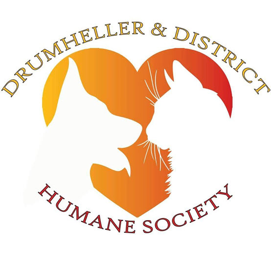 dhlogo
