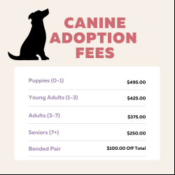 Dog Adoption Fees